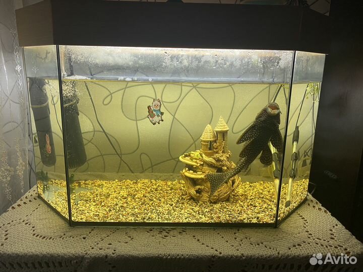 Аквариум