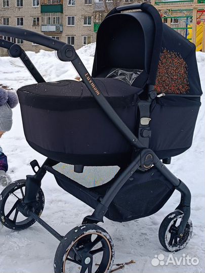 Коляска 2 в 1(ревесивный блок)