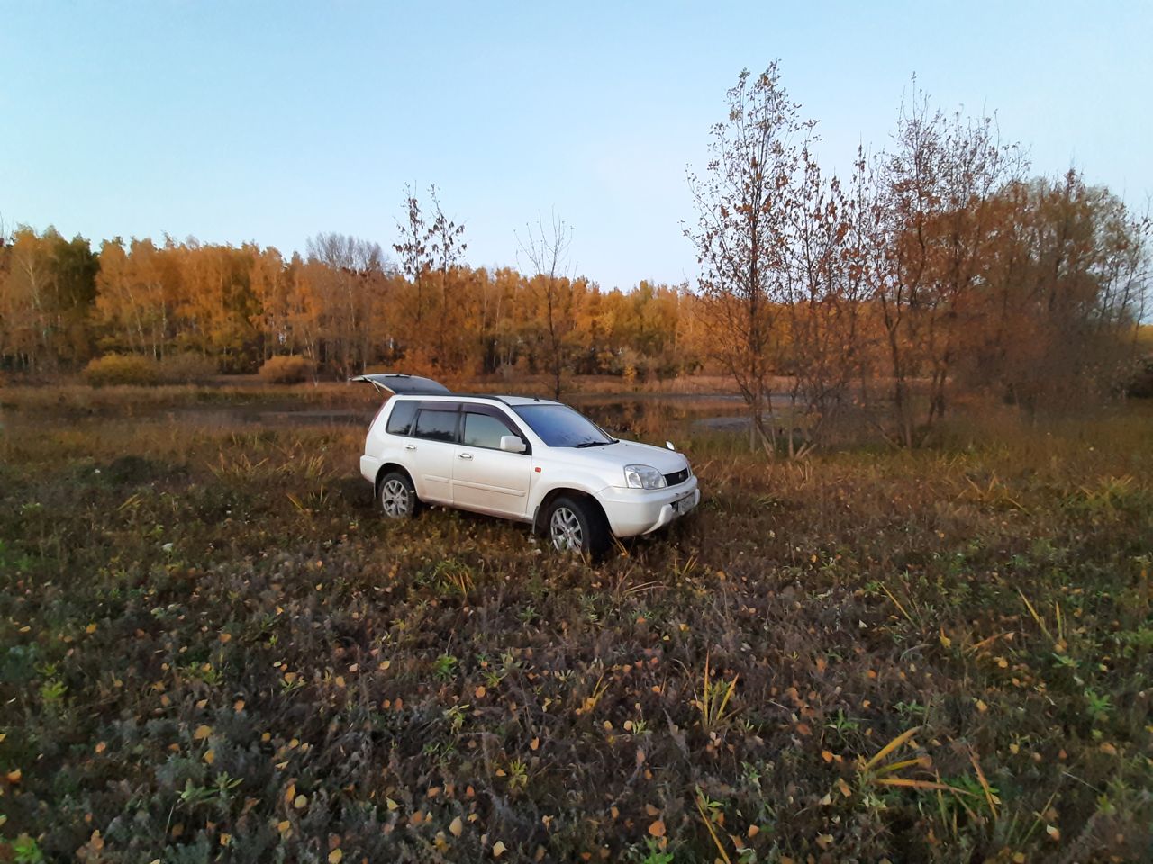 Nissan X-Trail: фото владельца