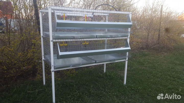 Клетка для перепелов на 50, 100, 150 и 200 голов