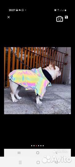 Куртка-дождевик для собаки светоотражающая