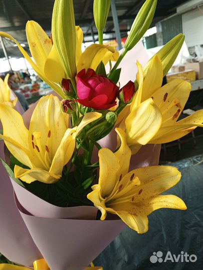 Живые цветы букеты