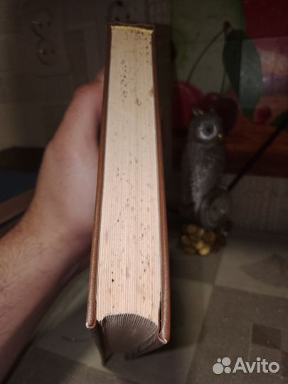 Абдулаев, Избранные главы клиники внутренних болез