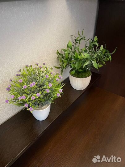 Цветочная композиция фиолетовый