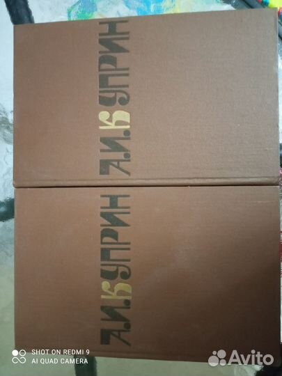 Куприн 2 тома большой формат