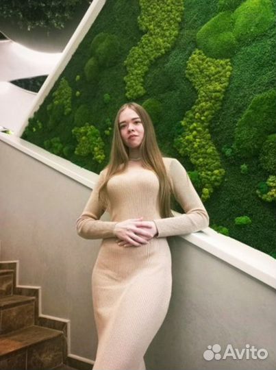 Репетитор по математике, физике, информатике