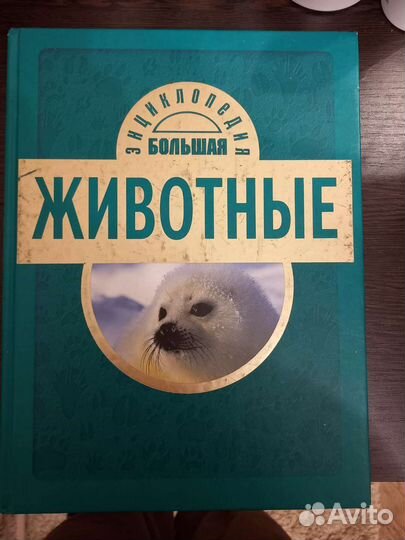 Энциклопедия про животных