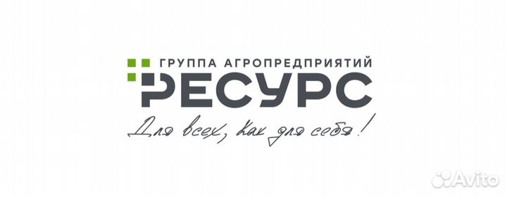 Главный инженер (элеватор)