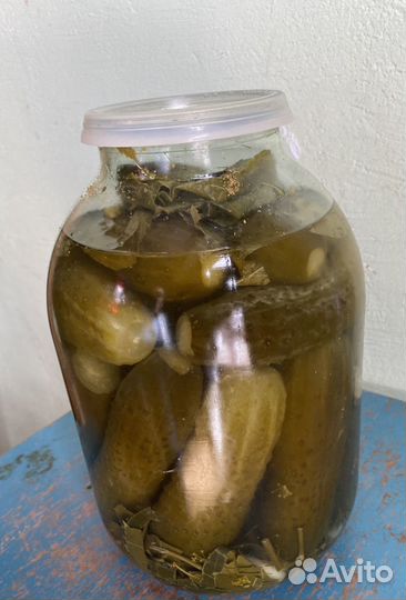 Огурцы соленые домашние