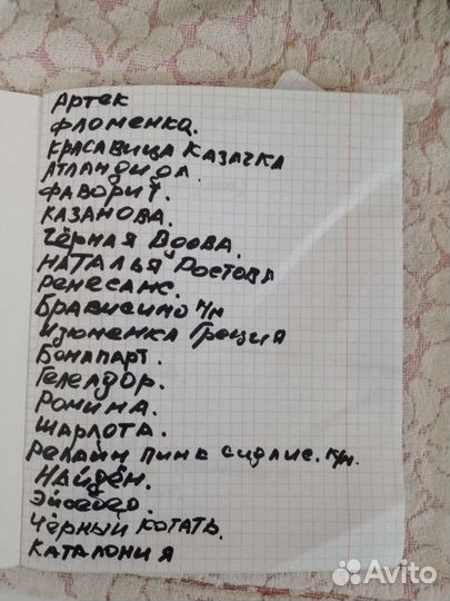 Саженец винограда