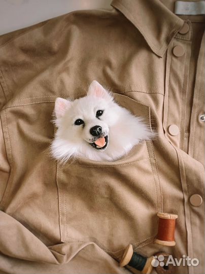 Брошь по фото собачки. Корги, Пекинес, шпиц и др