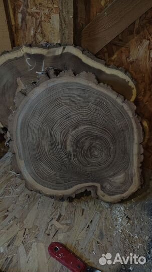 Слэб дерева и спилы