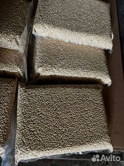 Кедровый орех очищенный