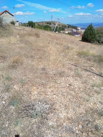 Участок 10,6 сот. (СНТ, ДНП)