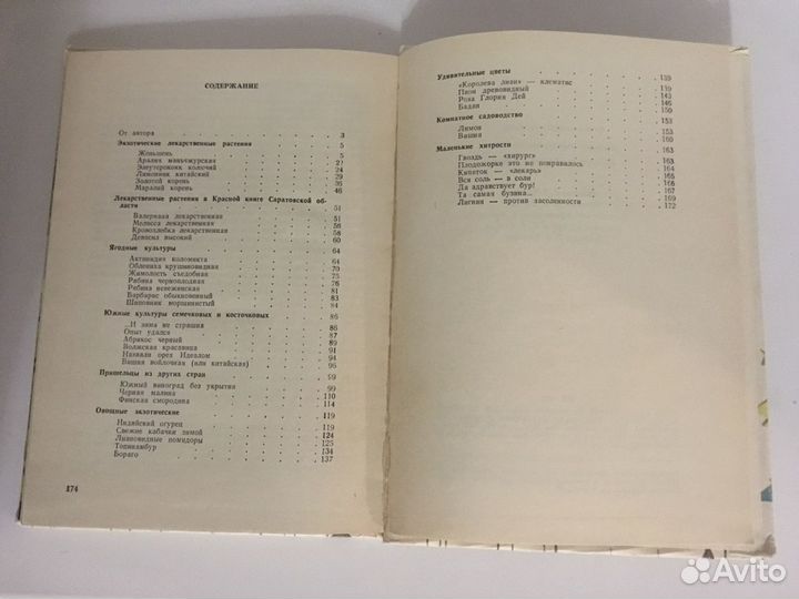 Книга Удивительное на грядке