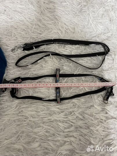 Одежда для маленьких собак