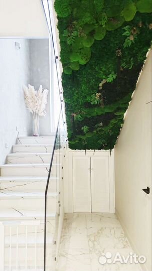 Панели стеновые из лесного мха и растений