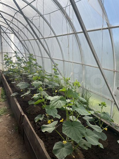 Дача 43 м² на участке 25 сот.