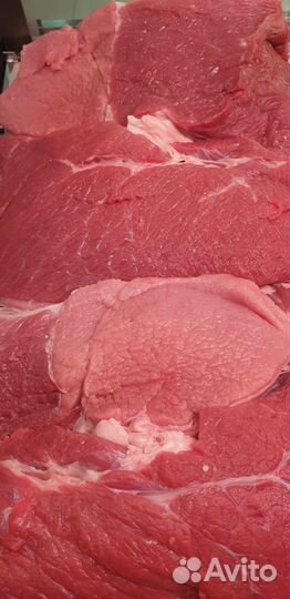 Мясо говядина, бедро, мякоть, окорок, телятина