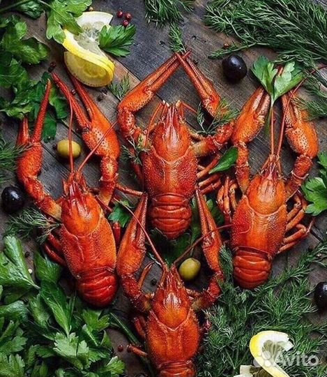 Раки (центр)