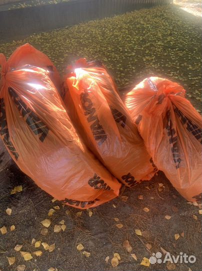 Michelin Latitude X-Ice North 255/55 R19