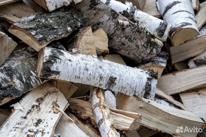 Лес береза кругляк на дрова / дрова в чурках