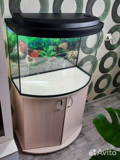 Аквариум 130 л новый с гнутым стеклом