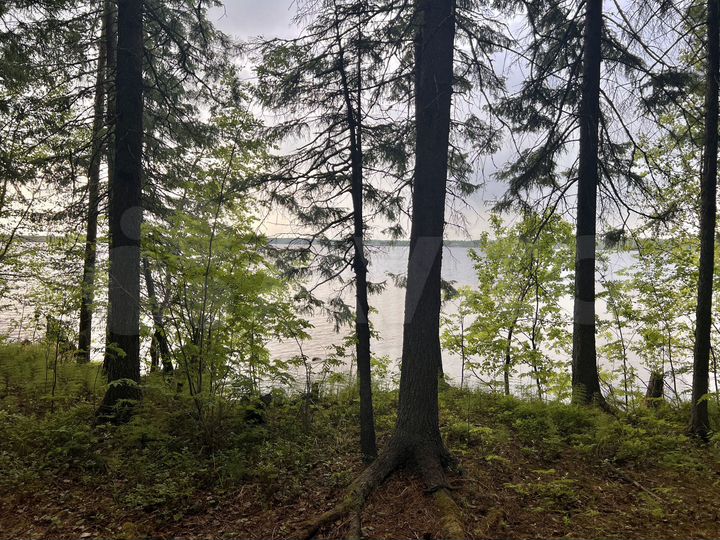 Дача 58 м² на участке 10 сот.