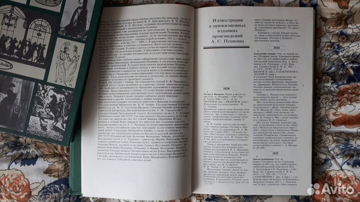 Пушкин в русской и советской иллюстрации в 2-х кн