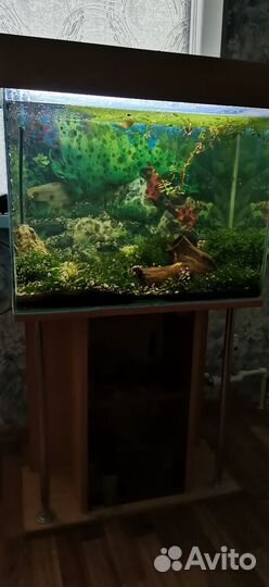 Аквариум с тумбой 100 литров