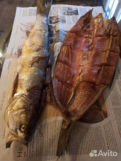 Балык жереха