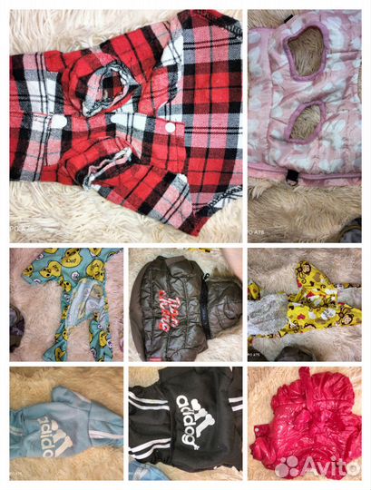 Одежда для маленьких собак