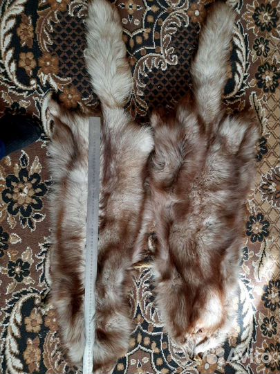 Шкура песцов