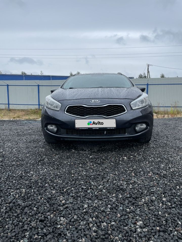 Kia Ceed: фото владельца