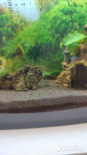 Аквариум 45л полный комплект