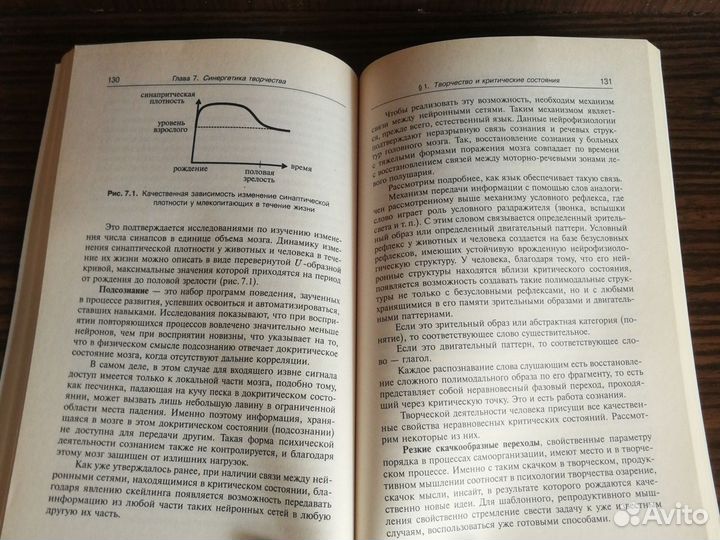 Евин Искусство и синергетика 2009