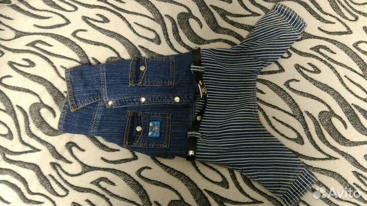 Одежда для собак