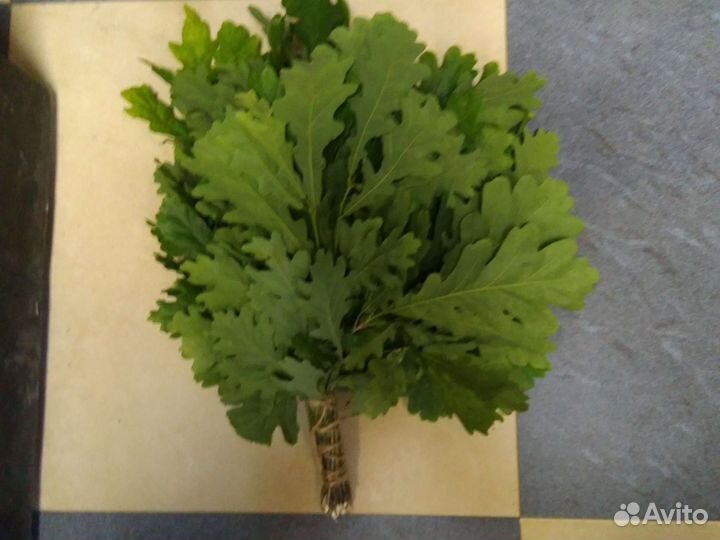 Веники берёзовые, липовые,дубовые