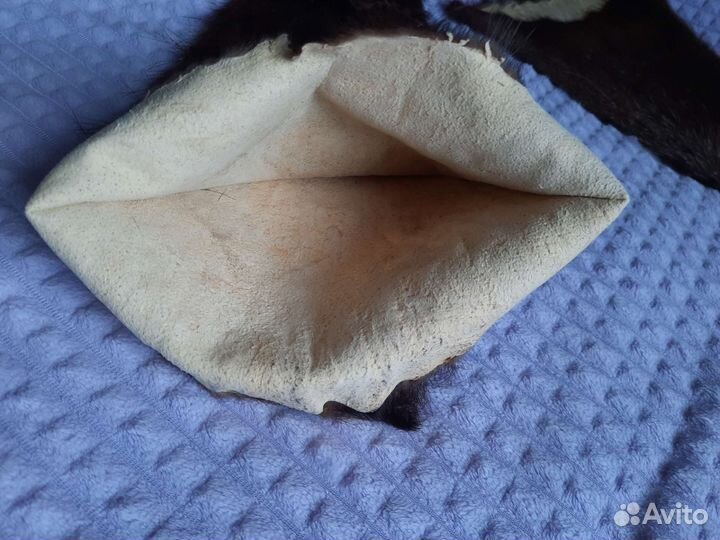 Шкурка животного