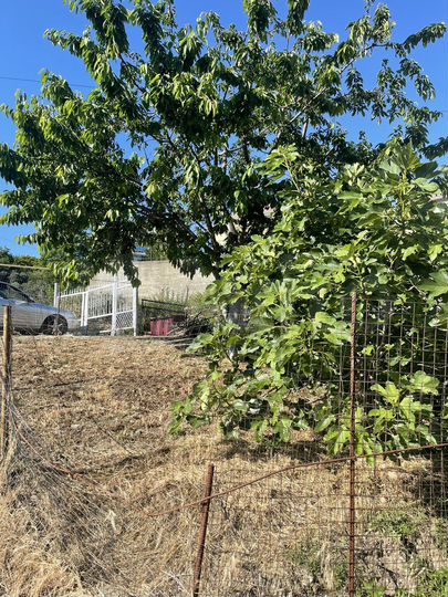 Участок 3,6 сот. (ИЖС)