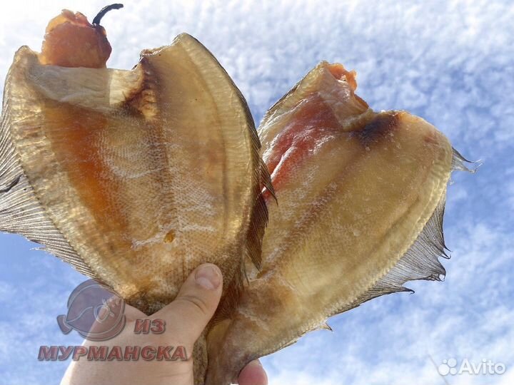 Ерш Мурманский