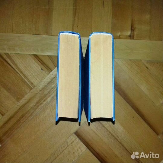 Михаил шолохов Тихий Дон 2 тома