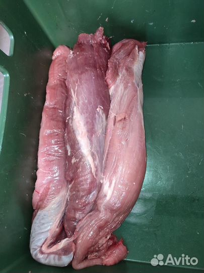 Мясо свинины оптом