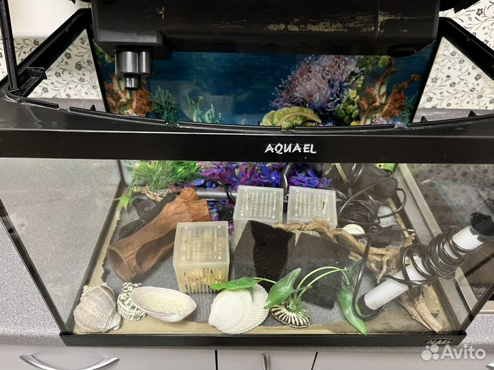 Аквариум