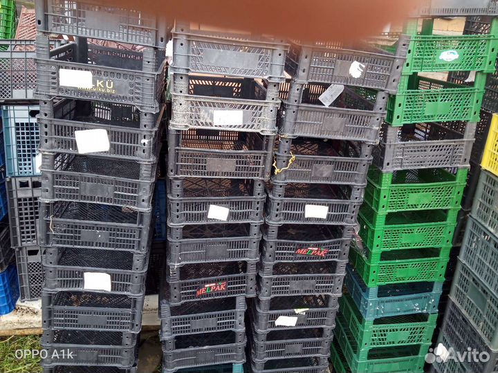 Ящик пластиковый. Под малину