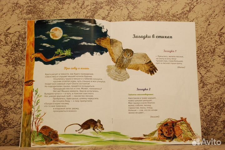 Детские книги о природе Прибайкалья 2