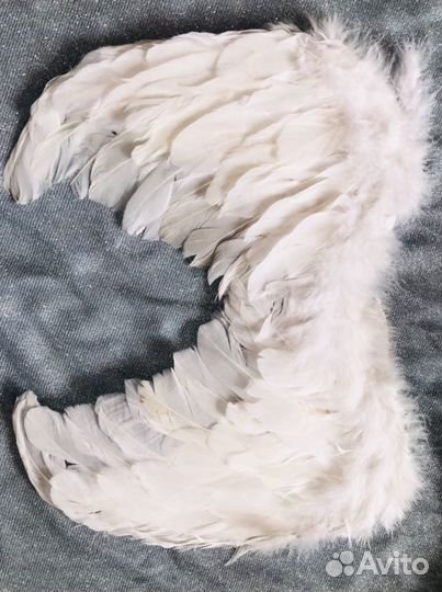 Крылья из перьев