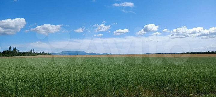 Участок 3,54 га (СНТ, ДНП)