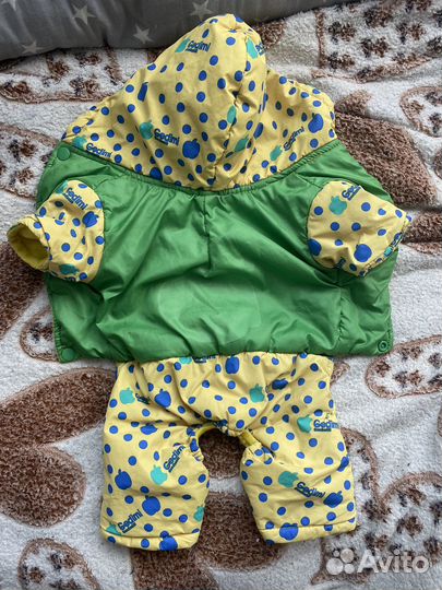 Одежда для собак