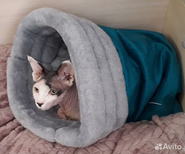 Домик для кошек